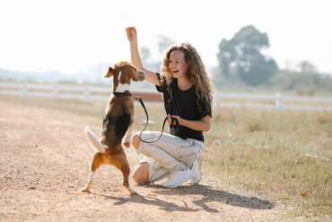The Do’s and Don’ts of Training Your Pet