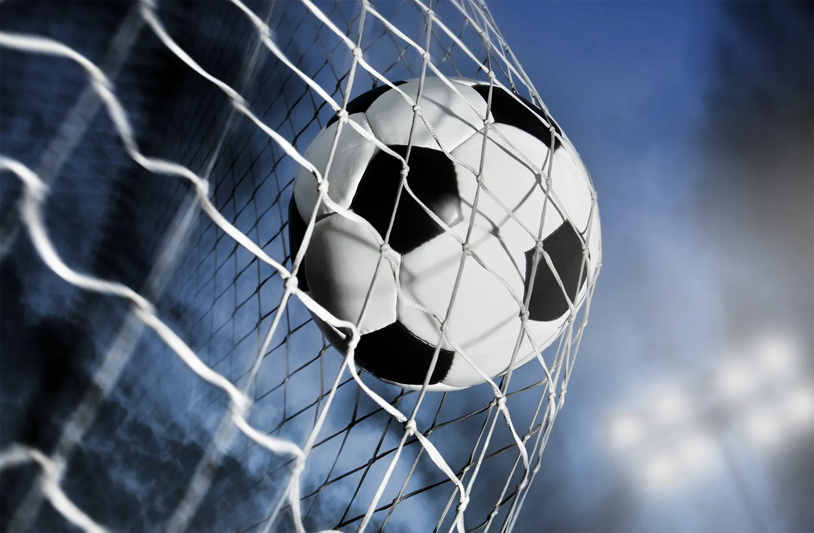 Adapting to Change: Trends for Professional Bettors!